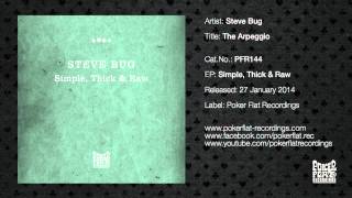 Steve Bug: The Arpeggio