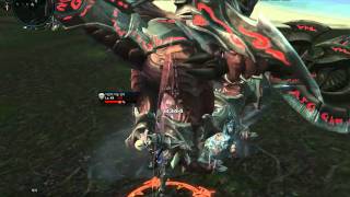 lv.50 광거지 비늘전사 솔플