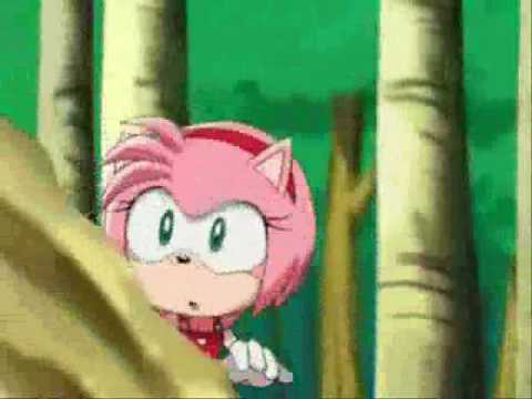 ~.:Amy Rose AMV:.~~~.:Sally's Song (Amy Lee Version From Nightmare Revisited):.~