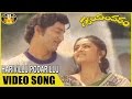 Harivillu Video Song Swayam Varam Movie Shoban Babu Jayapradha Sri Venkateswara Videos