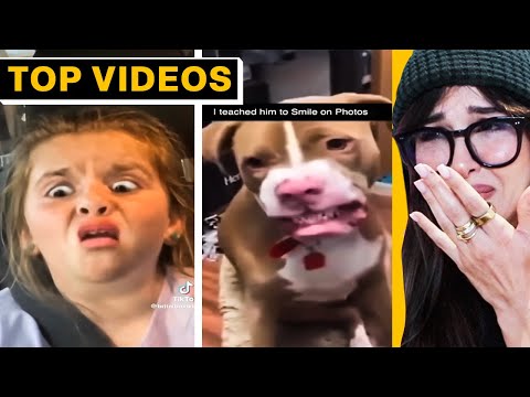 TikToks That Made Me Cry Laughing | SSSniperWolf