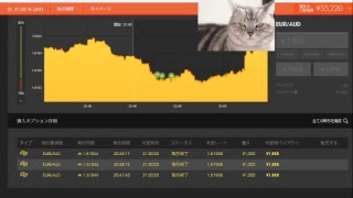 【FX】1万円から始める為替取引【BO】52