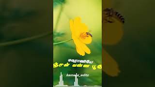 Download lagu #shorts |Magaraaniye lyrics |Tamil | Pon Manickavel|D. Imman|Viveka|Srinivas|kamala editz mp3