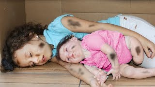 As Aventuras de Valentina e sua cachorrinha abandonada | capítulo 07 As Aventuras de Valentina e sua cachorrinha abandonada | capítulo 07