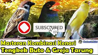 Download lagu MASTERAN KOMBINASI GREJA TARUNG, TENGKEK BUTO & KENARI JEDA RAPAT 8-10 DETIK - MASTERAN PILIHAN mp3 Download lagu MASTERAN KOMBINASI GREJA TARUNG, TENGKEK BUTO & KENARI JEDA RAPAT 8-10 DETIK - MASTERAN PILIHAN mp3