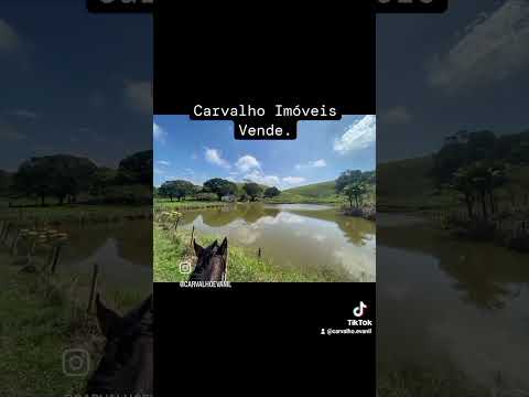 Cachoeiras de Macacu - 18 alqueires totalmente pronto. carvalhositiosefazendas.com.br