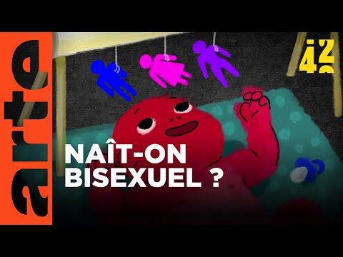 Sommes-nous tous bisexuels ? | 42 - La réponse à presque tout | ARTE