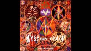 Cactus Rain - Mystery Train (Desert Ruby Mix By William Orbit)
