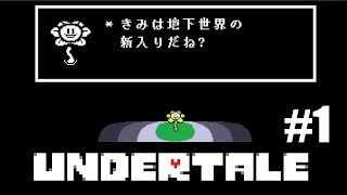 【Part1】友人が行くUndertale ～誰も死ぬ必要のないRPG～【ゆっくり実況】