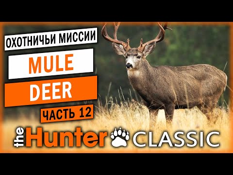 ОХОТА НА ЧЕРНОХВОСТОГО ОЛЕНЯ! | Охотничьи Миссии | theHunter Classic 🐻 | (часть 12)