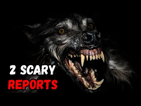 TERROR IN THE DARK STREETS, WEREWOLVES ARE EVERYWHERE, 2 TERROR STORIES | HORROR STORY