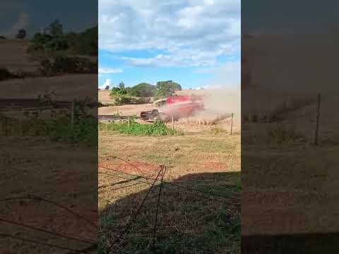 Soja, Paraná, Brasil, Centenário do sul #soja