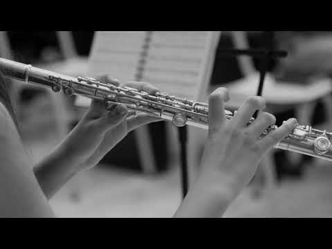 Pé de Moleque - Samba Choro (Celso Machado) - Learning Track for Flute with Score - 76 bpm