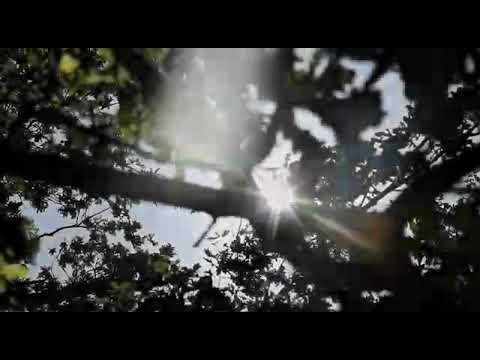 🇸🇦🇸🇦🇸🇦🇸🇦🇸🇦🇸🇦🇸🇦🇸🇦  اتيوس او شهم النقيب × اتيا كون . Atius O (Shahim Al Nakeeb × Atia