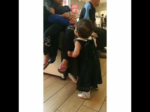 الحلم حان meraih bintang