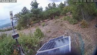 1️⃣🔴7/24 Kesintisiz Yaban Hayatından Canlı Yayın 🐾(Türkiye'de ilk ve tek) camera Batı 2 live webcam