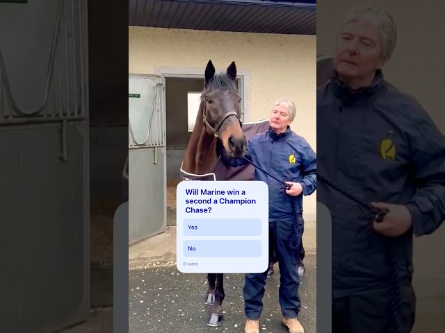 Thumbnail for Post ID: d4zOzd6ol9g