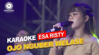 Download lagu Esa Risty - Ojo Nguber Welase  (Karaoke Version) mp3