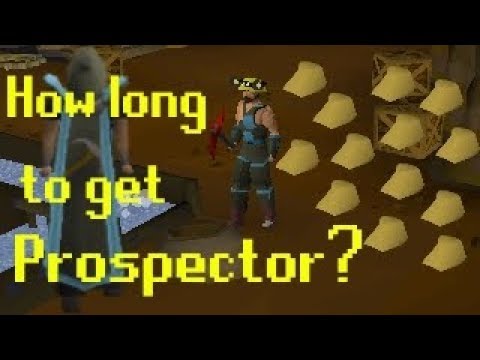 [OSRS] How Long Does it Take to Get Prospector? (And Profits!)