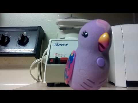 The Amazing Sammyclassicsonicfan Screaming Bird