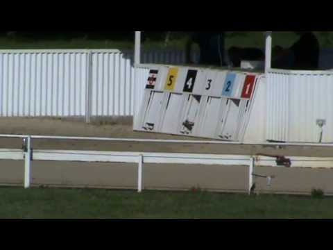 Magyar Derby Sprint döntő 2013