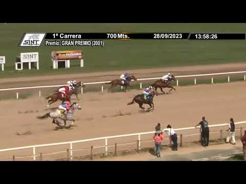 SINT PAYSANDU 230928 c01 - 1° ISOLINO