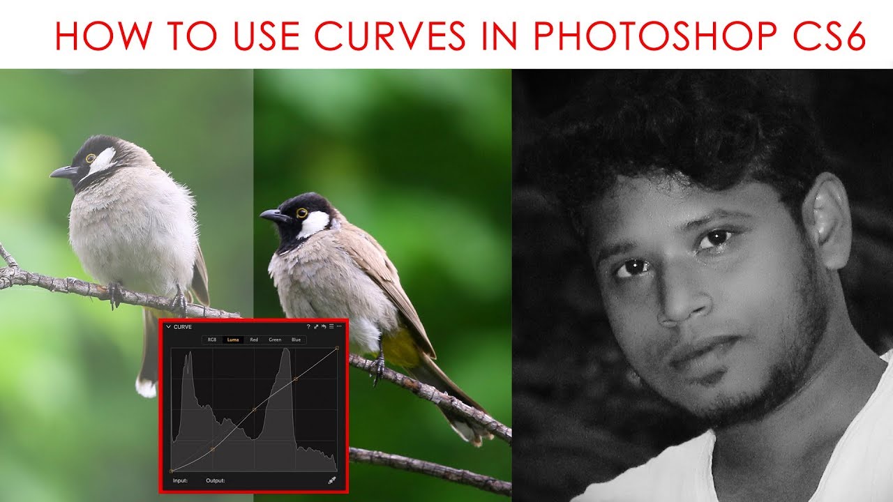Photoshop CS6: Working with Curves