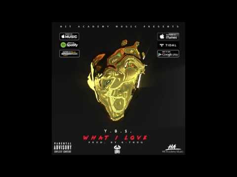 Y.B.S. - What I love (OFFICIAL AUDIO)