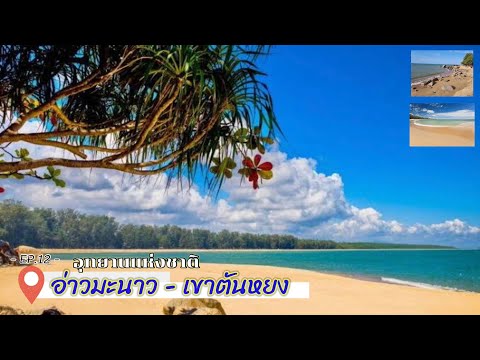 คลิกเพื่อชมคลิปวีดีโอ