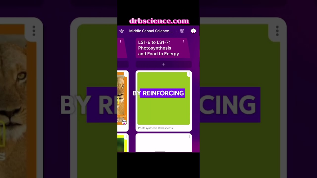 #teachingresources #middleschoolteacher #scienceteacher #drbscience #tpt