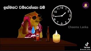 Andakare Ma Sinhala Song Funny WhatsApp Status #wh