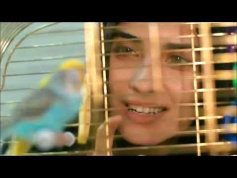 ♥♥ Tuba Büyüküstün 2013 _ Melek _ Numb { مترجمة } ♥♥