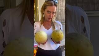 Giorgia Meloni: 25 settembre: Ho detto tutto