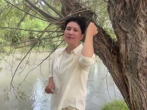 Nodiraxon Subhonova - Yuribsizmi