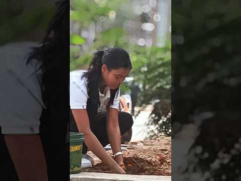 Environment Day Special 💚 | Krishna Sarthi Tree Plantation Drive