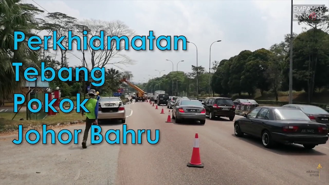 Johor Bahru Tree Cutting Services - Perkhidmatan Potong Pokok Johor Bahru