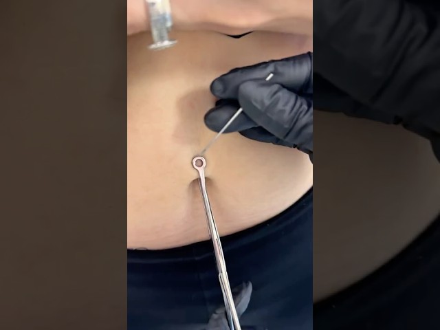 Vídeo relacionado con TYXHXTF 2 Piezas Anillos para el Ombligo Piercing, Gato Piercing de Ombligo