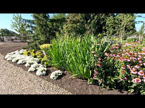 Planting 5 Varieties of Perennial for Full Sun! ☀️🌿😎 // Garden Answer