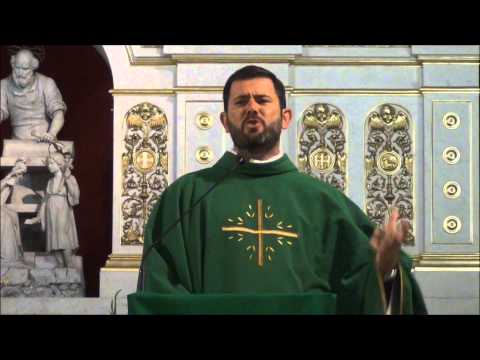 Homilia Ks. Carlosa 27.07.2014 - XVII NIEDZIELA ZWYKŁA A