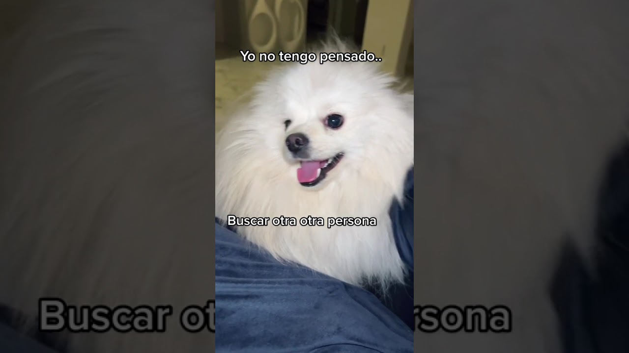 Amor de verdad #fyp #parati #Shorts #missnatalielopez