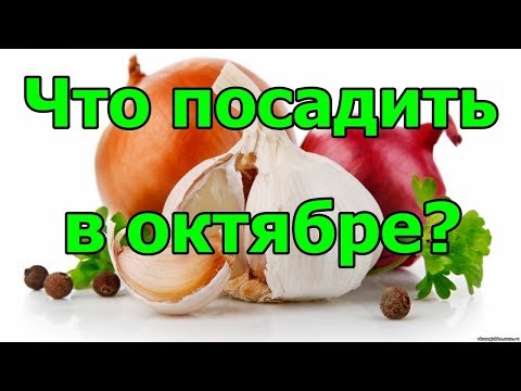 Что посадить в октябре?