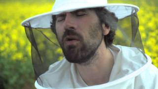 Gruff Rhys - Honey All Over (Official Video)