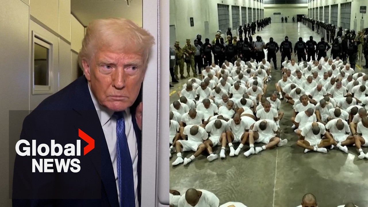 "This is war": Trump invokes Alien Enemies Act for mass deportations, defying court order