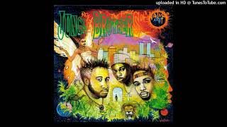 06. Jungle Brothers - Acknowledge Your Own History