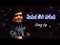 Nelavanka Tongi Chusindi Song By Rajmohan