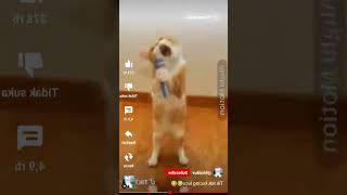 Download lagu tahan tawa kucing ๐คฃ๐๐๐คฃ๐คฃ๐คฃ๐คฃ๐คฃ๐คฃ๐๐๐
๐๐๐๐๐๐ mp3 Download lagu tahan tawa kucing ๐คฃ๐๐๐คฃ๐คฃ๐คฃ๐คฃ๐คฃ๐คฃ๐๐๐
๐๐๐๐๐๐ mp3