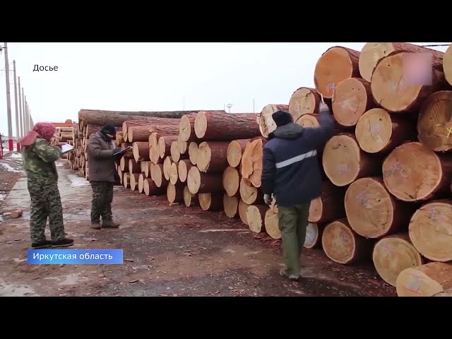 За последние пять лет объём незаконной лесозаготовки в Иркутской области сократился на 93%.