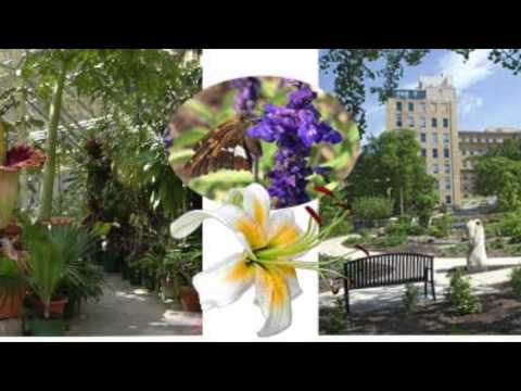 download lagu mp3 mp4 Burnt Soil, download lagu Burnt Soil gratis, unduh video klip Burnt Soil