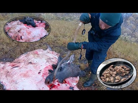 12 people compete for $500,000 in a wilderness survival challenge.To win,they even stole others'food
