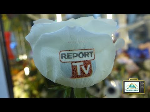 Rreze Dielli. 16 prill - Si të ndërrojmë lulet në kushte shtëpie